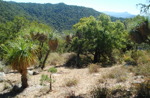 Senderos Baja California